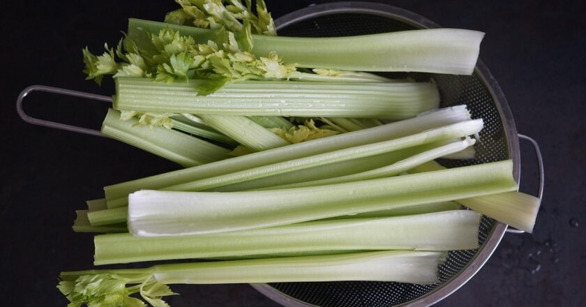 Pravi Celer: A Complete Guide to Celery, Its Benefits, Growing Tips, and Culinary Uses