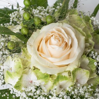 July Birth Flowers: Meaning, Symbolism, and Growing Guide