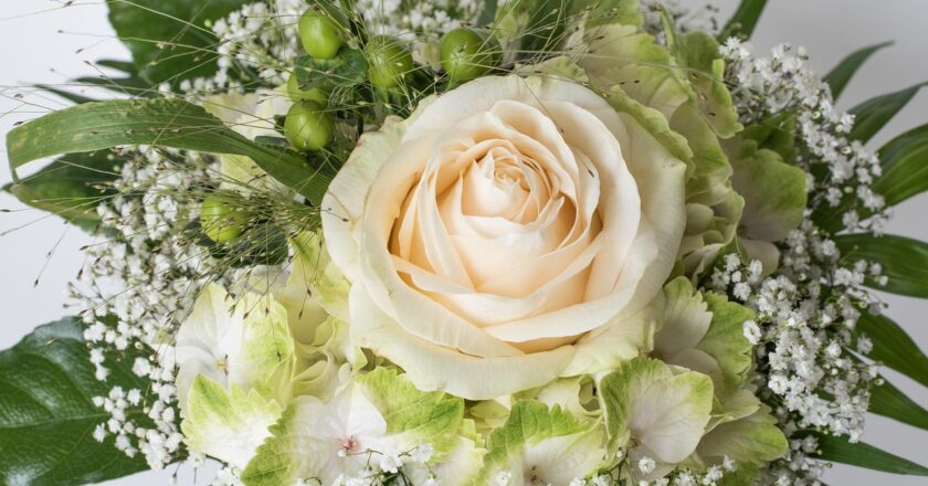 July Birth Flowers: Meaning, Symbolism, and Growing Guide